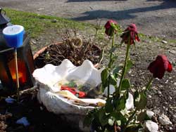 OSTFRIEDHOF, Munich, Germany, 2006